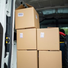 pexels-kampus-7843987 pexels-kampus-7843987